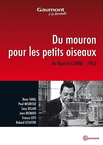 Du Mouron Pour Les Petits Oiseaux
