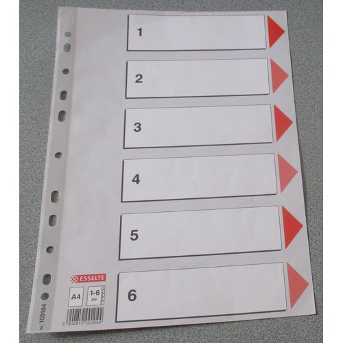 Fiche Index De Classement Pour Intercalaires À 6 Onglets - 21x30cm - Esselte Réf.100104