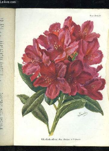 La Revue Horticole 1930 N° 12 - H Martinet. .F.Lesourd. \ Chronique Horticole.G.Bell Air. ¿ Faits Et Commentaires :La Mutualité Chez Les Végétaux.Eugène Vigoureux. ¿ Le Forçage Des Roses En ...