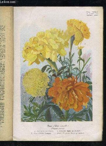 La Revue Horticole 1946 N° 2130 - 2131 - Chronique Horticoîe.Les Traditions De L'horticulture Devant Les Récentes Découvertes Scientifiques. ¿ J Dufrenoy. L'arboriculture Fruitière ...