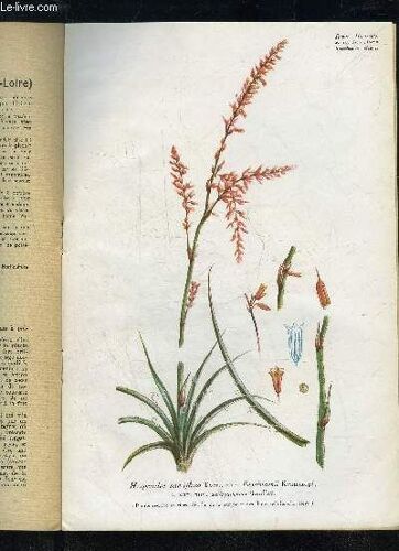 La Revue Horticole 1944 N° 2106 - Comité Do Rédaction Et Principaux Auteurs.Chronique Horticole : Extraits De La « Revue Horticole »; Mais; Prunier Japonais; Enseignement ; Engrais ; ...