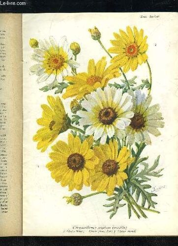 La Revue Horticole 1932 N° 11 - H.Martinet. F.Lesourd. J Chronique Horticole.G.Bellair. ¿ Faits Et Commentaires :Nos Meilleurs Fruits/G. Ganteau. ¿ L'exposition D¿Horticul-Ture D¿Automne À ...