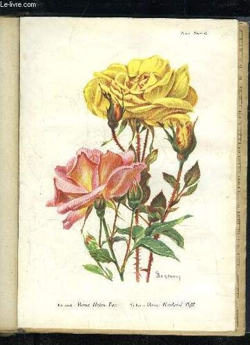 La Revue Horticole 1927 N° 23 - H. Martinet. #.F.Lesourd. I Chronique Horticole.G.Bellair. ¿ Faits Et Commentaires : A Propos Des Glaïeuls Blancs.J. Lochot. ¿ Les Chrysanthèmes À ...