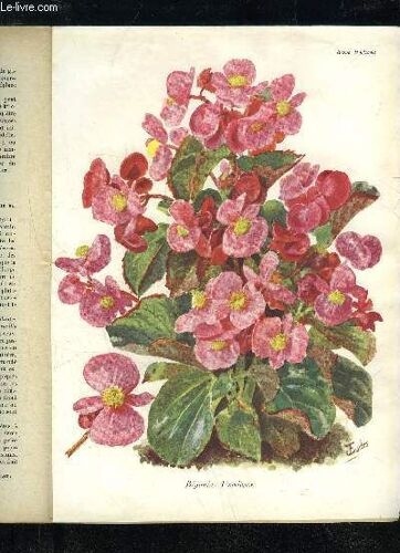 La Revue Horticole 1928 N° 4 - H Martinet. ,F.Lesourd. ( Chronique Horticole.G.Bellair ¿ Faits Et Commentaires : Fructifications Précoces.M. Simonet. ¿ La Mouche Du Chrysanthème ...