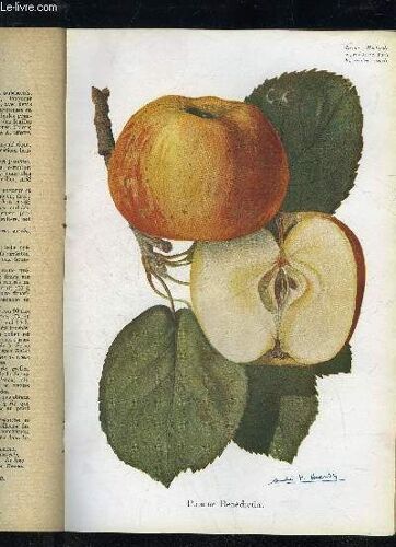 La Revue Horticole 1944 N° 2113 - 2114 - Chronique Horticole : Cours Publics D'horticulture. ¿ Nécrologie. ¿ Concours National De La Plus Belle Rose De France, À Lyon. ¿ Chicorée Witloof ...