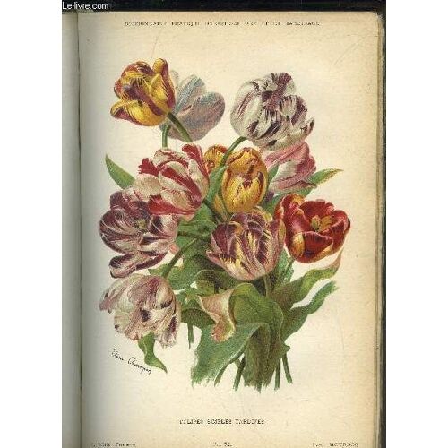 Dictionnaire Pratique D'horticulture Et De Jardinage - 5 Tomes - 62 Planches Couleurs