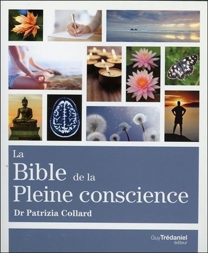La Bible De La Pleine Conscience