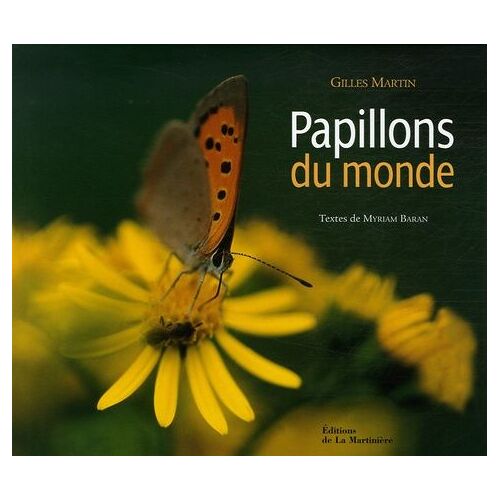 Papillons Du Monde