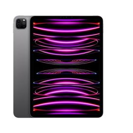 Apple iPad Pro 11" Wi-Fi 2022 512Go gris sidéral