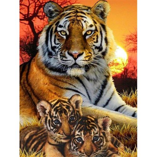 Peinture Diamant 5d,Tigre,Carré,Broderie,Animaux,Strass,Photo,Mosaïque,Vente,Décoration D'intérieur,Cadeau - Type 9036-Full Square 40x50cm