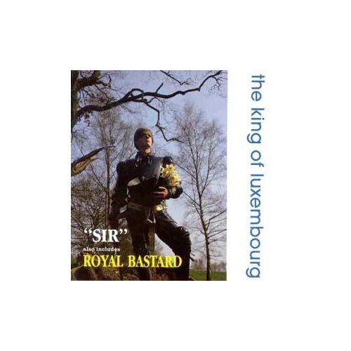 Sir And The Royal Bastard