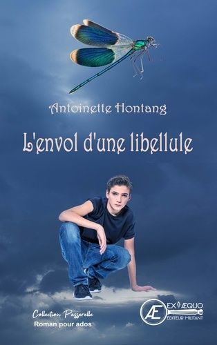 L'envol D'une Libellule