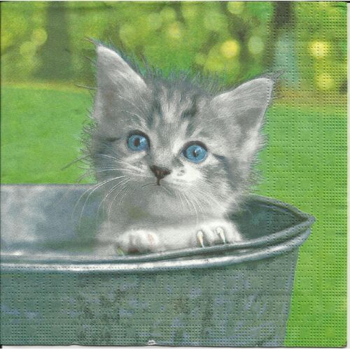 Lot De 2 Servittes Déco Papier: Bébé Chat Dans Son Bain