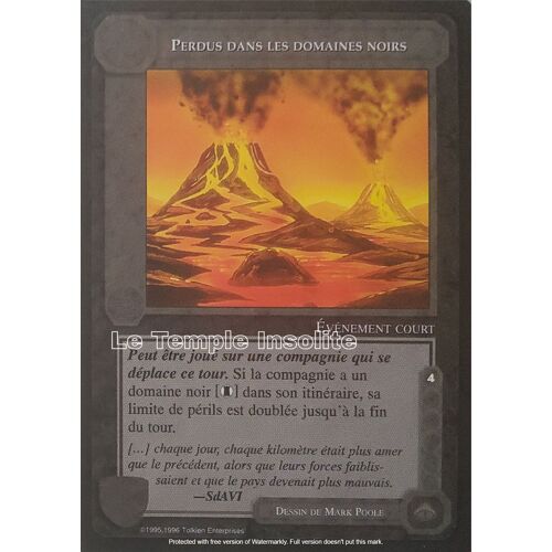 Carte Le Seigneur Des Anneaux - Perdus Dans Les Domaines Noirs 1996