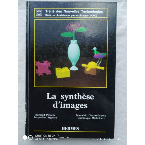 Bernard Peroche / Jacqueline Argence / Djamchid Ghazanfarpour / Dominique Michelucci, La Synthèse D'image, Hermes, "Traité Des Nouvelles Technologies", 1988