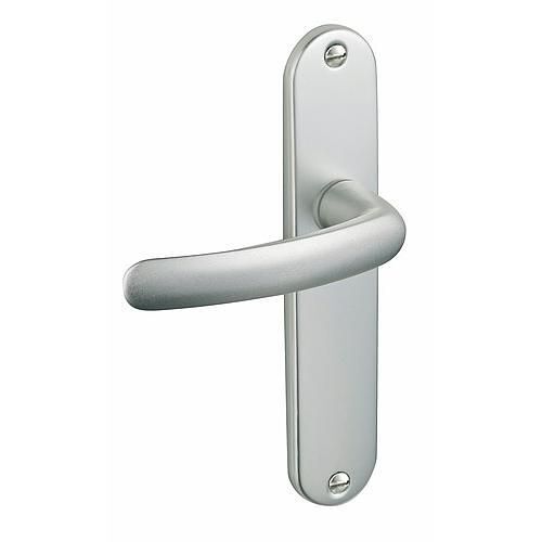 Poignées sur plaques condamnation - aluminium argent - Budget VACHETTE