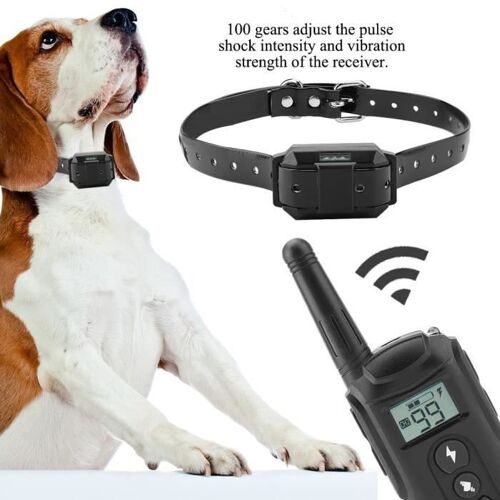 Collier De Dressage Pour Chien Électrique Appareil De Dressage Avec Télécommande 110   220v Prise Uemkk85