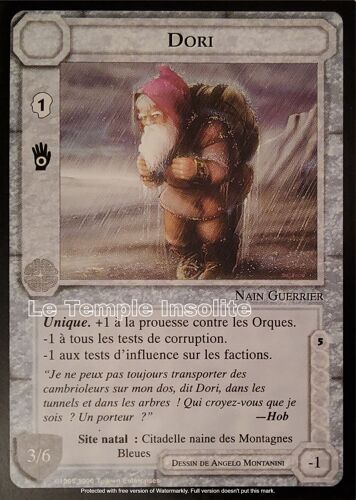 Carte Le Seigneur Des Anneaux - Dori 1996