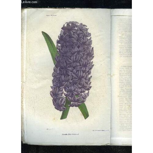 La Revue Horticole 1864 N° 18 - Chronique Horticole De La Première Quinzaine De Septembreculture De Quelques Rhododendrons De L'himalaya, D¿Assam Et De Bootam.Sur Une Maladie Des ...