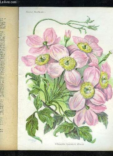 La Revue Horticole 1922 N° 10 - H. Martinet. Chronique Horticole,R. Lesourd. )1mérite Agricole.François Charmeux. ¿ La Vente De La Treille Du Roy.E.Lemée. ¿ Pommes De Terre De ...