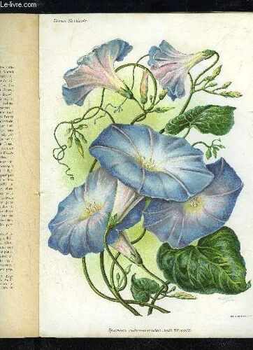 La Revue Horticole 1922 N° 4 - H. Martinet, J Chronique Horticole.R. Lesourd. )Pierre Passy. ¿ Sur La Gale Das Poires.Aug. Loizeau. ¿ La Tomate Pour Tex Portation.A. Petit. ¿ L¿Ensachage Des ...