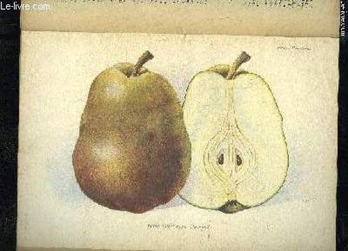 La Revue Horticole 1922 N° 12 - H. Martinet.  Chronique Horticole.B. Lesourd. )A. Meunissier. ¿ Le Jardin Botanique De Padoue.Ch. Arranger. ¿ (/Emballage Des Fruits De Choix.Antoine Rivoire ...