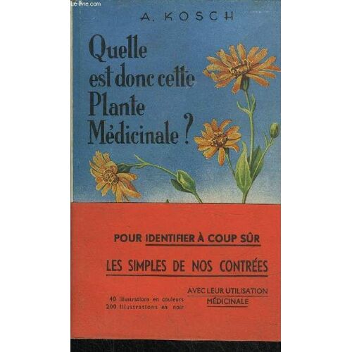 Quelle Est Donc Cette Plante Medicinale