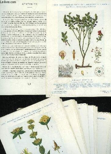 Lot De 37 Planches Couleurs - Nos Plantes Medicinales De France