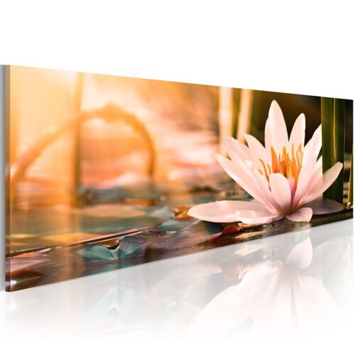 Tableau Imprimé "Beautiful Lotus" 50 x 150 cm