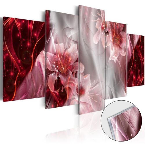 Tableau sur Verre Acrylique "Incarnadine Comet" 50 x 100 cm
