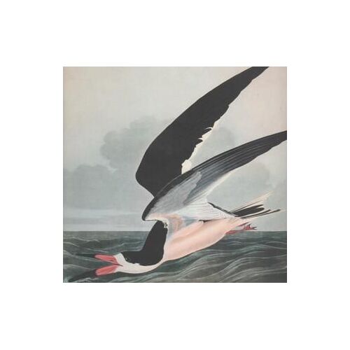 John James Audubon. Peintre Naturaliste Americain. 1785-1851. 10/1960-11/1960. (Poids De 232 Grammes)
