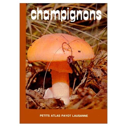 Champignons