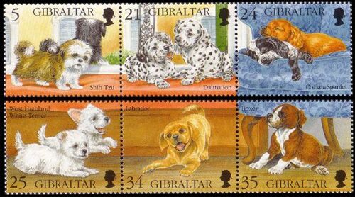 Chiens, Gibraltar, 1996