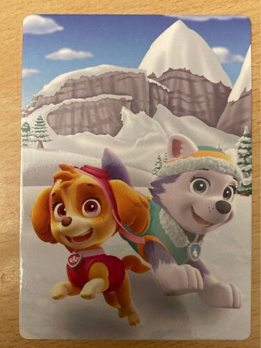 (3198) Carte Panini 61 Pat Patrouille 