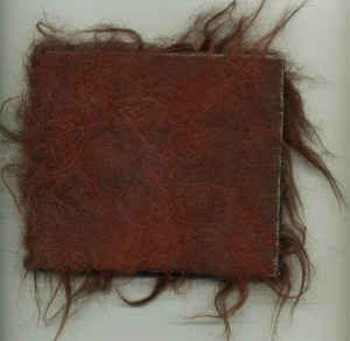 Juliana Hatfield Only Everything Edition Limitee Poil De Bison 