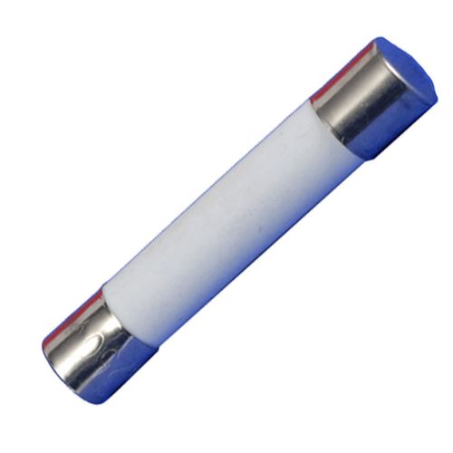 Fusible 6,3 x 32 mm 10 A. 250 V Four micro-ondes (481225228055 00152386 )