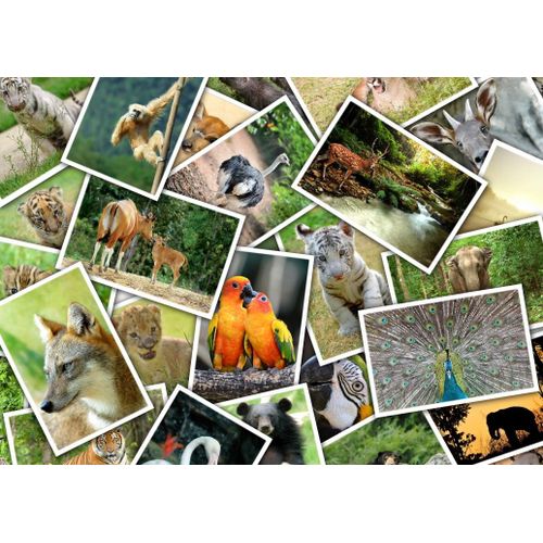 Promenade Au Zoo - Puzzle 500 Pièces