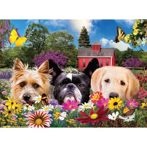 Coucou - Puzzle 500 Pièces