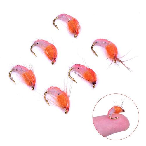 6 Pièces/Boîte Leurre De Pêche Avec Une Boîte Réaliste Nymphe Scud Mouche Pour La Pêche À La Truite Appât Artificiel Insecte Leurre