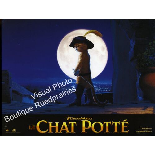 Le Chat Potté - Puss In Boots : Jeu De 4 Photos D'exploitation Cinématographique - Format 21x27,5 Cm - De Chris Miller Avec Antonio Banderas, Salma Hayek, Billy Bob Thornton, Guillermo Del Toro - 2011