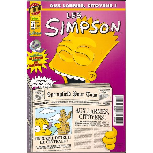 Les Simpson 17