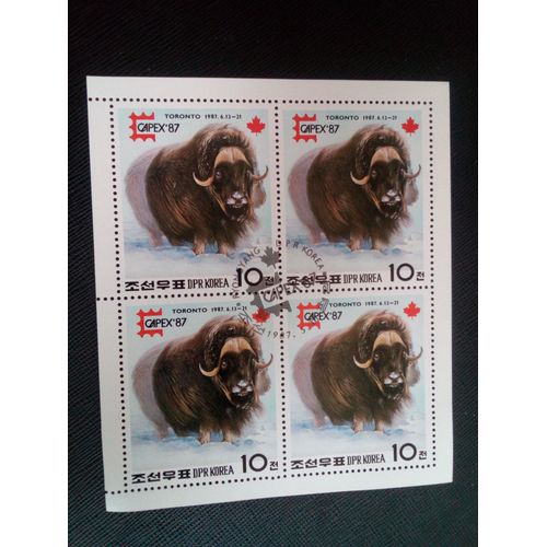 Timbre Coree Du Nord Yt 1897 Bloc Boeuf Musqué (Ovibos Moschatus) 1987 ( 051204 )
