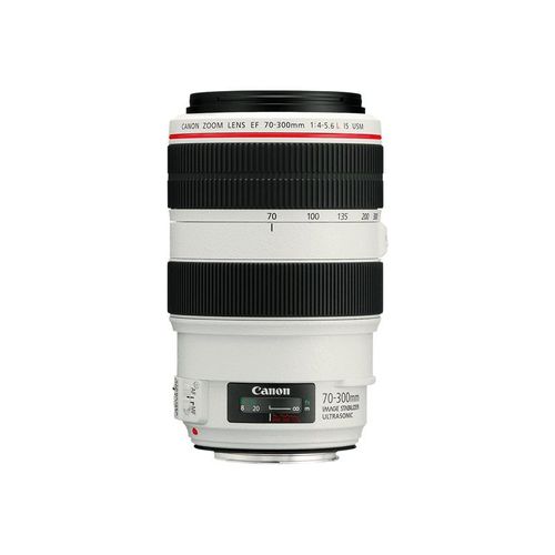 Objectif Canon EF - Fonction Zoom - 70 mm - 300 mm - f/4.0-5.6 L IS USM - Canon EF