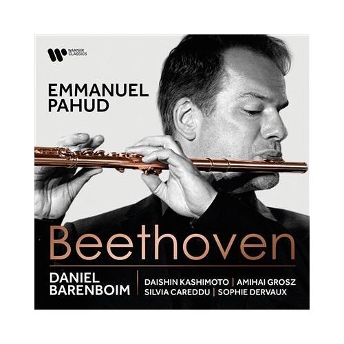 Beethoven - Sonata No 8 In G