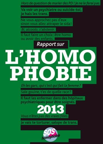 Rapport Sur L'homophobie