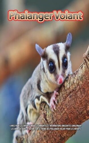 Phalanger Volant: Livres Pour Les Enfants Images Étonnantes Et Informations Amusantes Concernant Les Animaux Dans La Nature Sur Le Thème Des Phalanger Volant Pour Les Enfants
