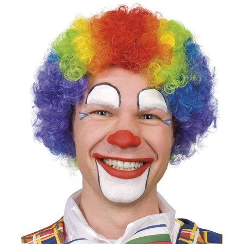 Perruque Clown Curly Cheveux Multicolore