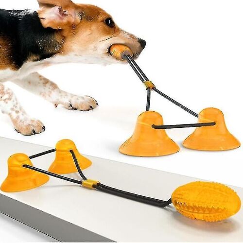 Jouet Pour Chien Avec Ventouse Jouet Pour Chien Jouet Pour Chien Jouet En Caoutchouc Jouet Multifonctionnel Pour Animaux De Compagnie, Robuste, Avec Double Ventouse, Tirer, Mâcher, Jouer