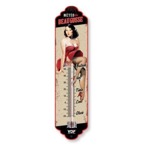 Thermometre Metal 30 cm Beau Gosse Pin ups