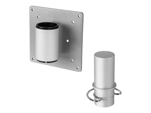 R-Go Support Thin Client pour Caparo, argenté - Support de montage de client léger - montable sur poteau - argent mat